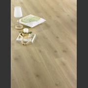 Дуб альберта