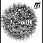 Обои для стен AS Creation каталог Black and White 3