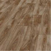Дуб южная дакота
