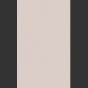 219213