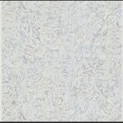 17058