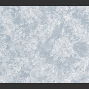 78204