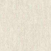 L20807