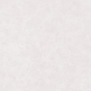 PAI100220255
