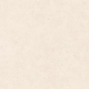 PAI100221820