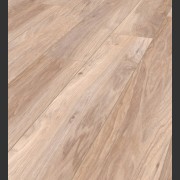 Пекан Олимп