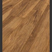 Гикори Аппалачи