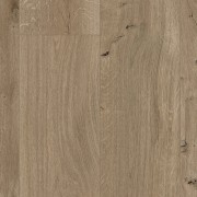 Seashell Oak