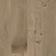 Seashell Oak 