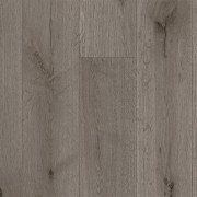 Steel Oak 