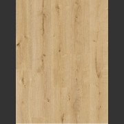 Sonora Oak