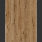 Forest Oak