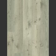 Noble Oak