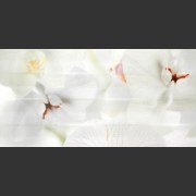 Stream Stream D-MSW42 B3 панно к-т 3 шт.