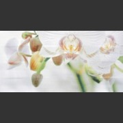 Stream D-MSW42 B3 панно 