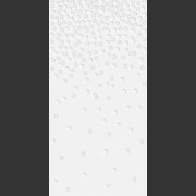 Gypsophila-WR63MSY00