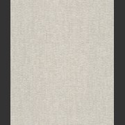 PM1001