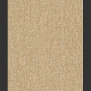 PM1006
