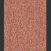 PM1009