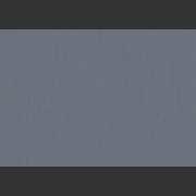 BT1010