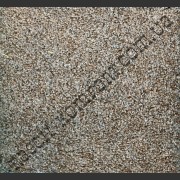 Сaprice 049