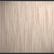 1203 TP