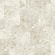 20810