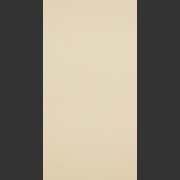 17123