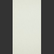 17124