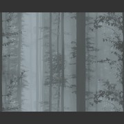3006-01