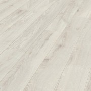 Дуб Чантилли 5953