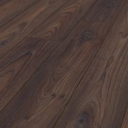 Дуб Азиатский Блестящий 5959