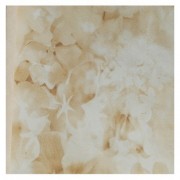 02470-12