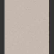 NG1106
